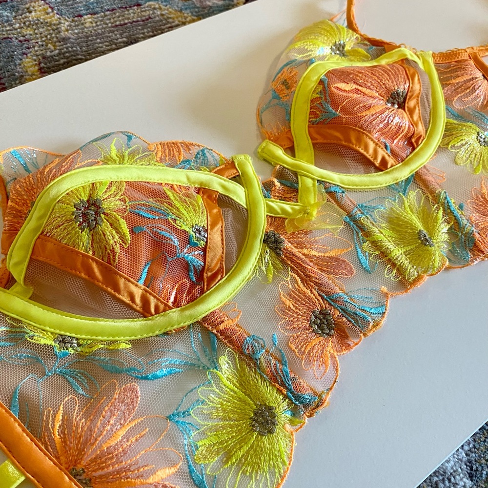 For Love & Lemons underwire bra.